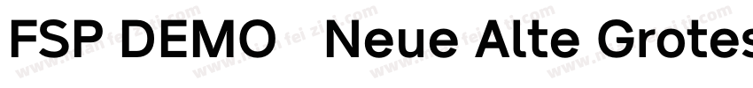 FSP DEMO   Neue Alte Grotesk字体转换